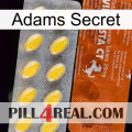 Adams Secret 42